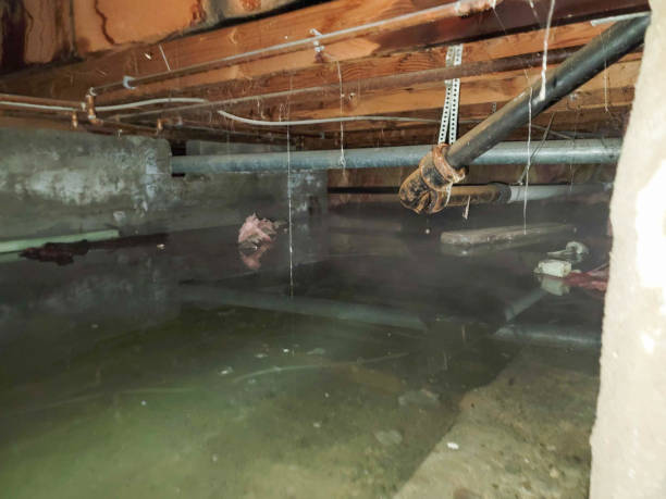 Best Commercial water damage restoration  in New York, NY