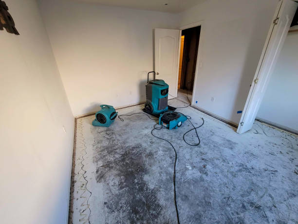 Best 24-hour water damage restoration  in New York, NY