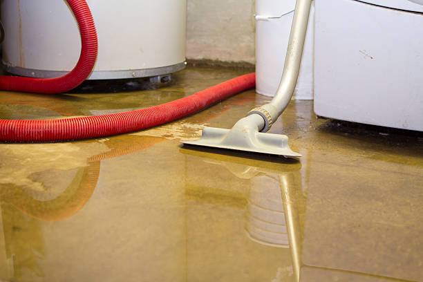 Best Water damage restoration near me  in New York, NY