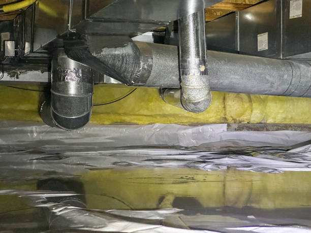 Best Water damage mitigation services  in New York, NY